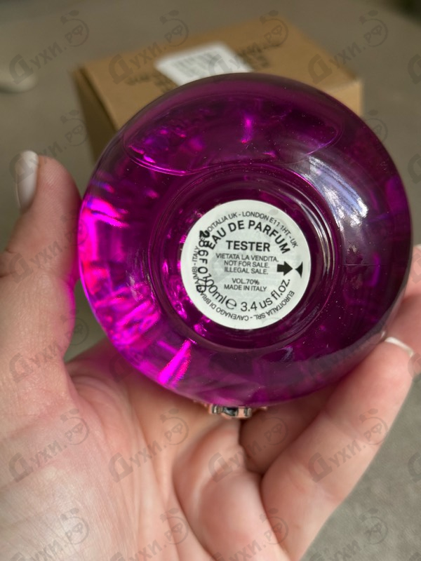 Отзывы Versace Dylan Purple