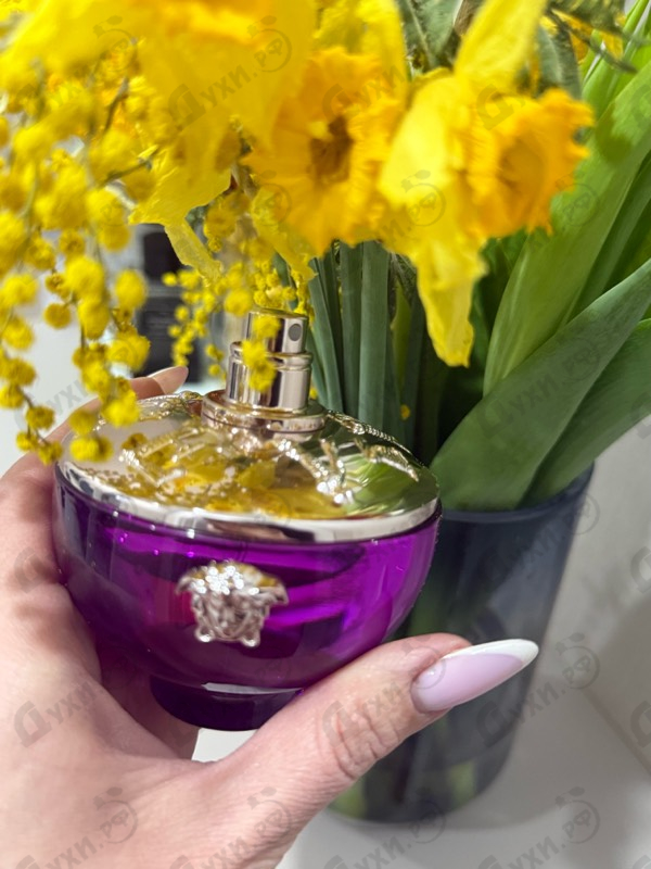Отзывы Versace Dylan Purple