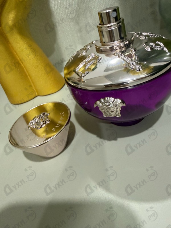 Купить Dylan Purple от Versace