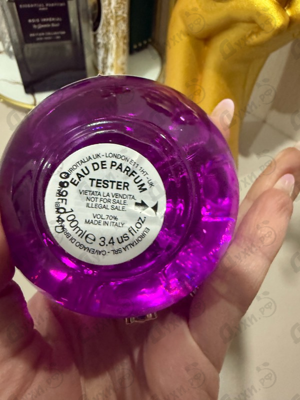 Купить Dylan Purple от Versace