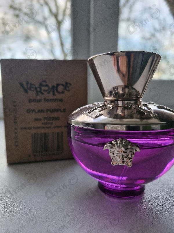Отзыв Versace Dylan Purple
