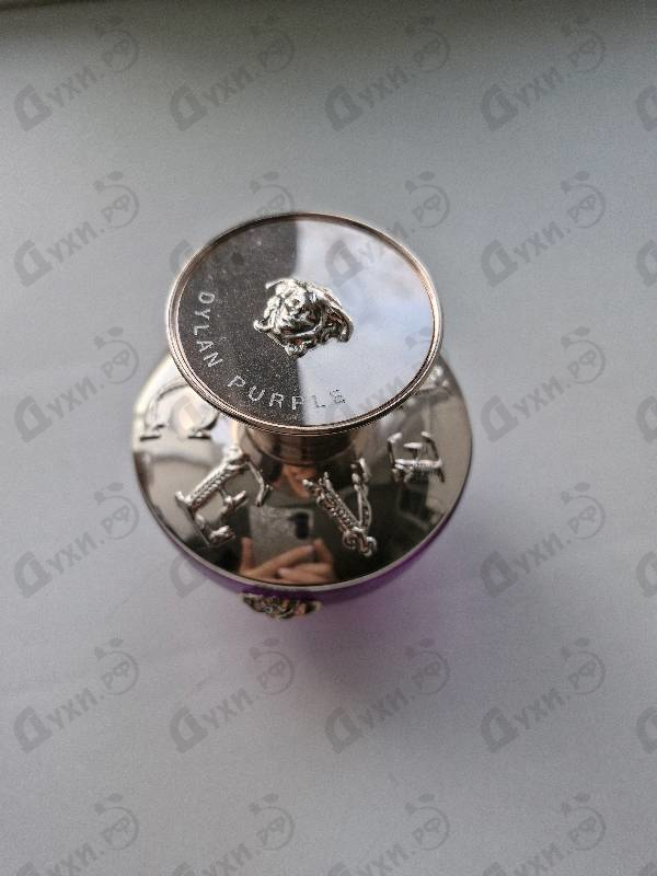 Купить Dylan Purple от Versace
