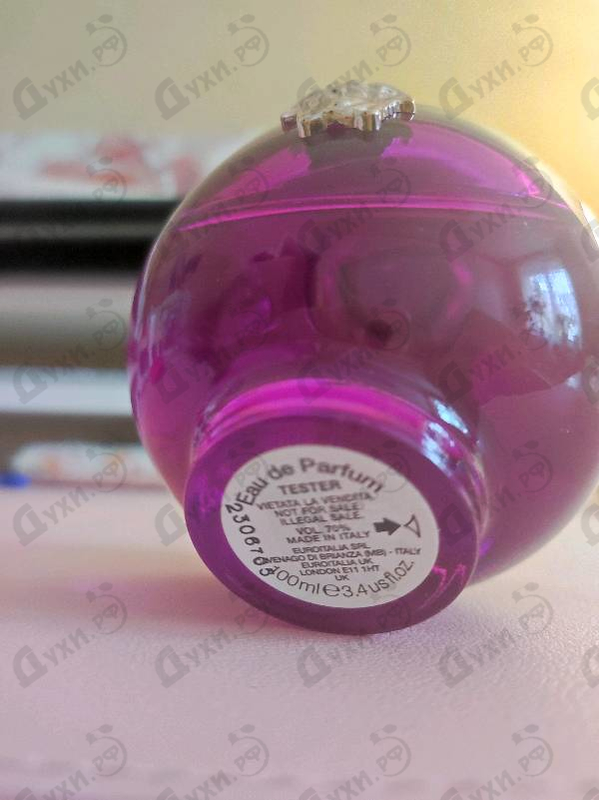 Купить Dylan Purple от Versace