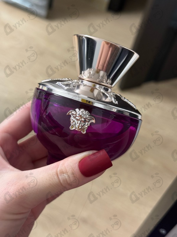 Купить Dylan Purple от Versace