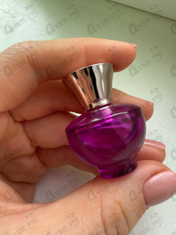 Купить Versace Dylan Purple