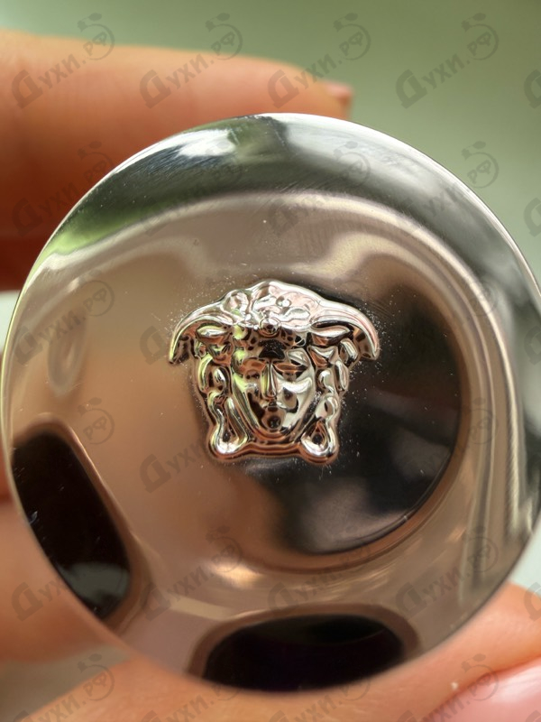 Парфюмерия Versace Dylan Purple