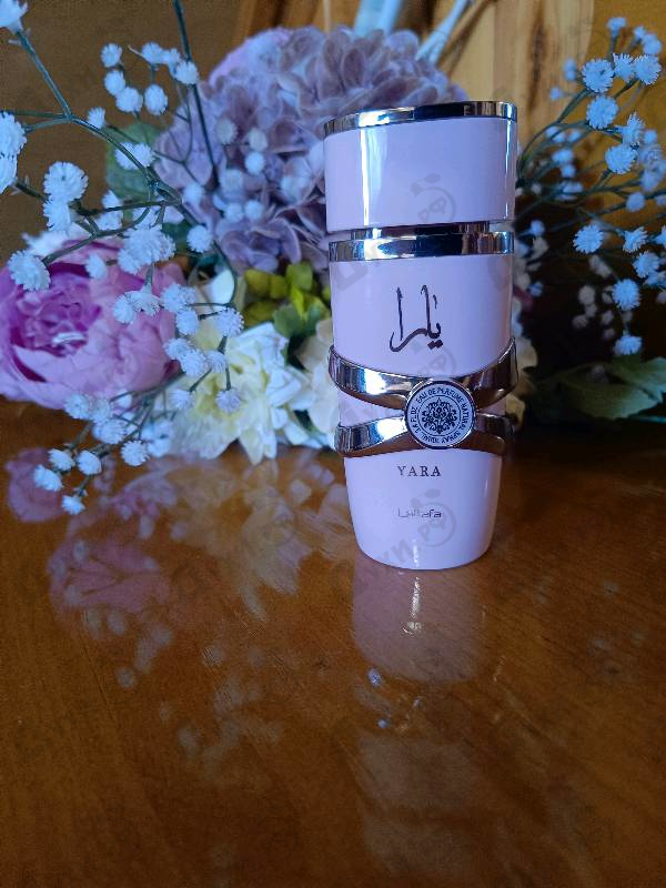 Купить Yara от Lattafa Perfumes