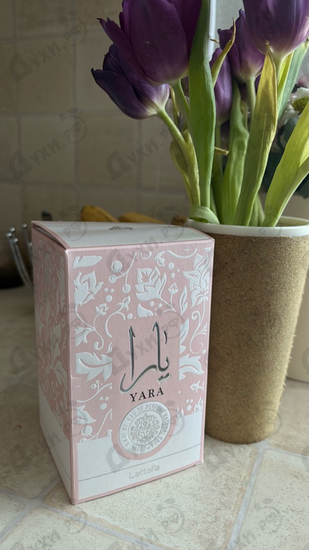 Отзывы Lattafa Perfumes Yara