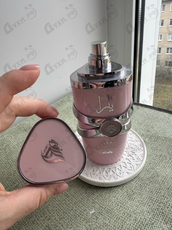 Купить Yara от Lattafa Perfumes