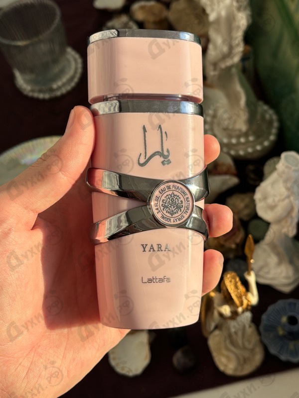 Купить Yara от Lattafa Perfumes