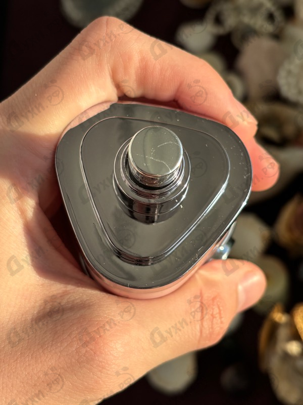 Купить Lattafa Perfumes Yara