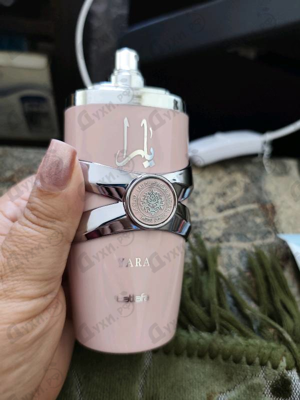 Отзыв Lattafa Perfumes Yara