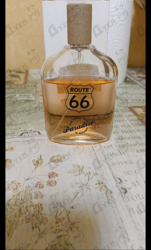 Купить The Road To Paradise Is Rough от Route 66