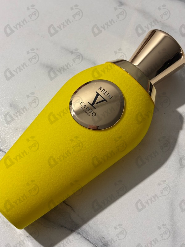 Купить Brun от V Canto