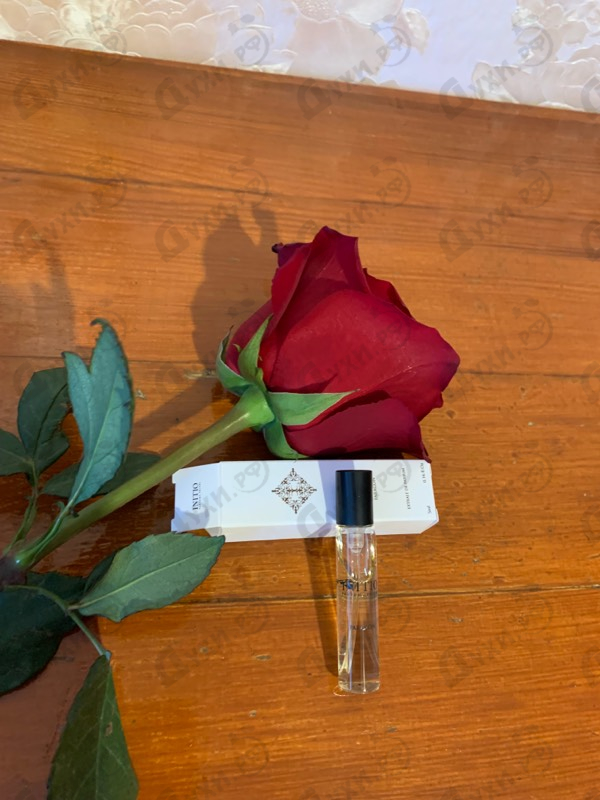 Купить Paragon от Initio