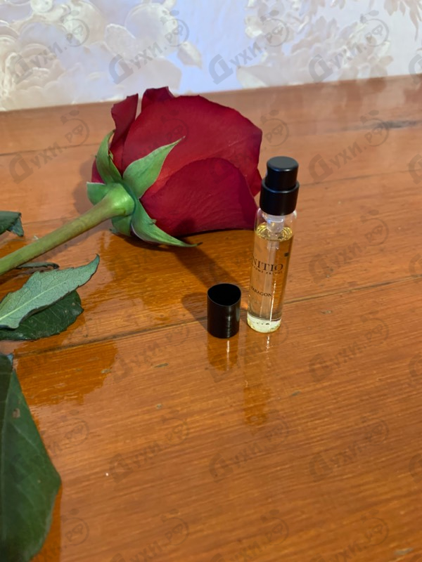 Духи Paragon от Initio