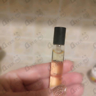 Отзыв Initio Paragon