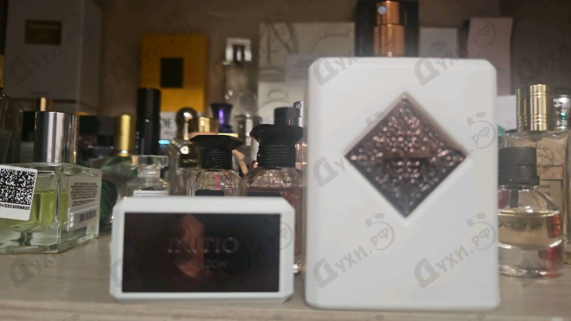 Отзыв Initio Paragon