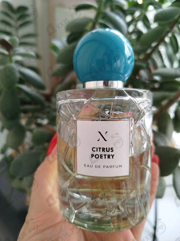 Духи Citrus Poetry от Les Soeurs De Noe