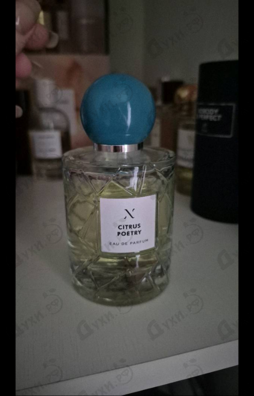Купить Citrus Poetry от Les Soeurs De Noe