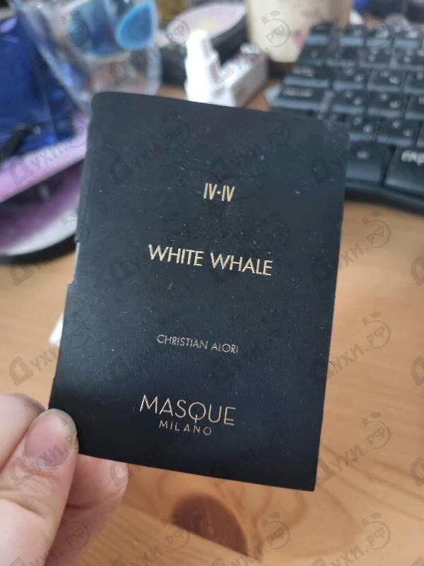 Купить White Whale от Masque Milano