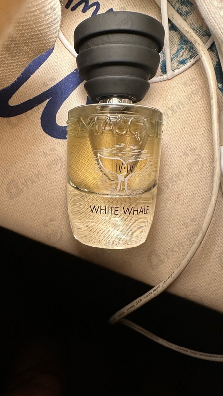 Купить White Whale от Masque Milano