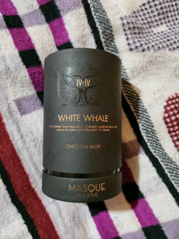 Купить White Whale от Masque Milano