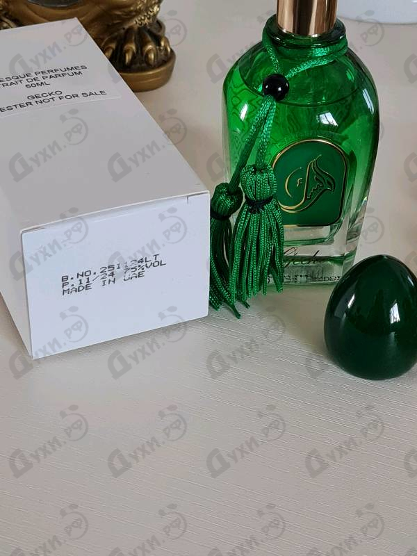 Купить Arabesque Gecko