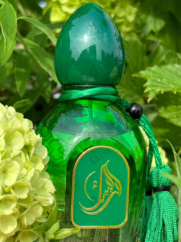 Парфюмерия Gecko от Arabesque