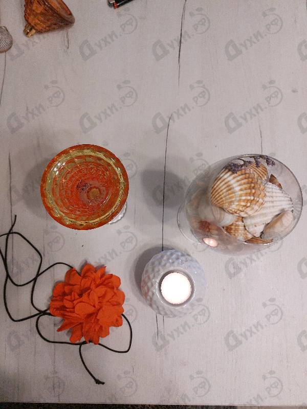 Купить Cocktail Edition от Pepe Jeans