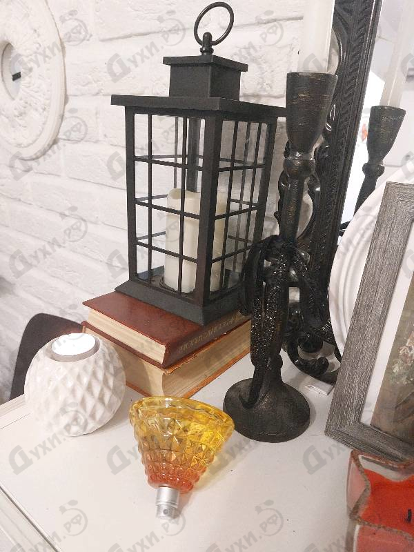 Купить Cocktail Edition от Pepe Jeans