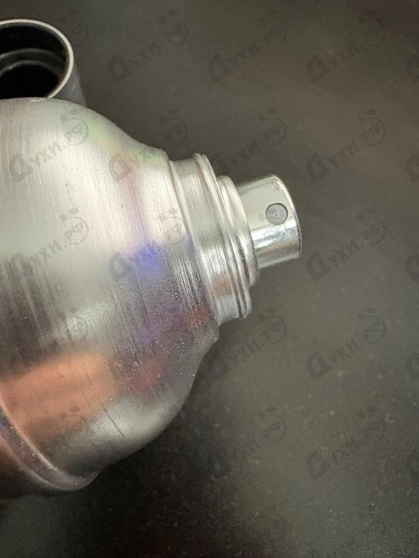 Купить Cocktail Edition от Pepe Jeans