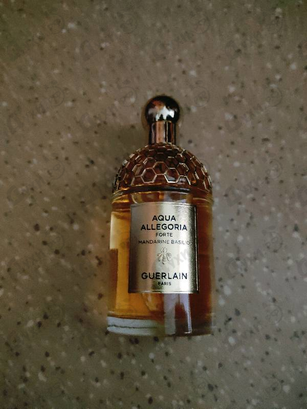 Купить Guerlain Aqua Allegoria Forte Mandarine Basilic