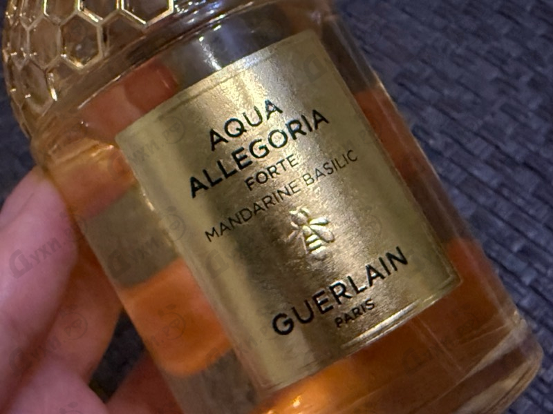 Парфюмерия Aqua Allegoria Forte Mandarine Basilic от Guerlain