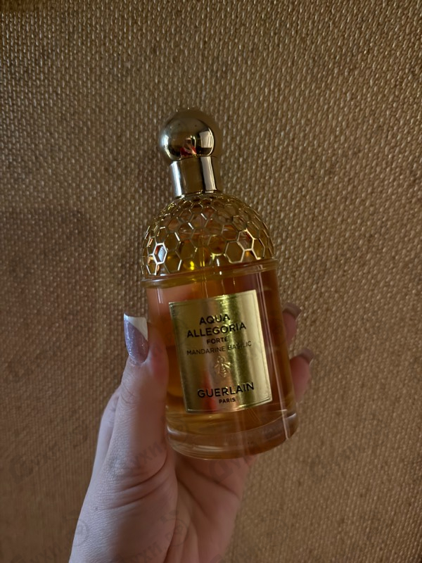 Духи Aqua Allegoria Forte Mandarine Basilic от Guerlain