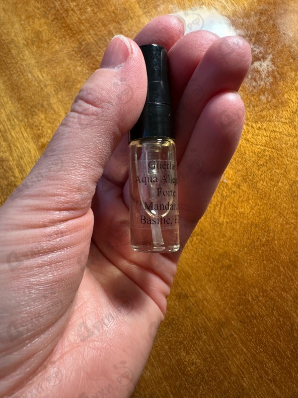 Парфюмерия Aqua Allegoria Forte Mandarine Basilic от Guerlain