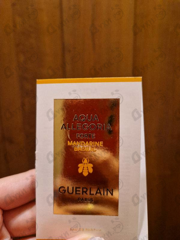 Купить Aqua Allegoria Forte Mandarine Basilic от Guerlain