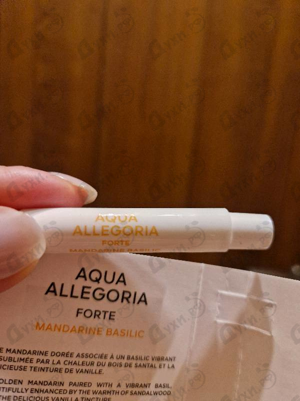 Купить Aqua Allegoria Forte Mandarine Basilic от Guerlain