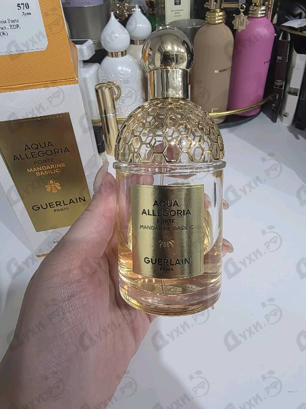 Купить Aqua Allegoria Forte Mandarine Basilic от Guerlain