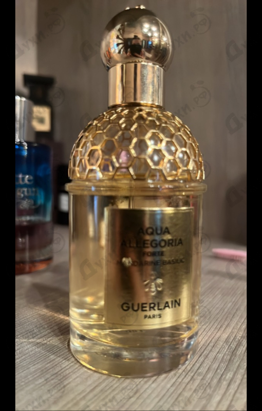 Парфюмерия Aqua Allegoria Forte Mandarine Basilic от Guerlain