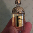 Отзывы Guerlain Aqua Allegoria Forte Mandarine Basilic