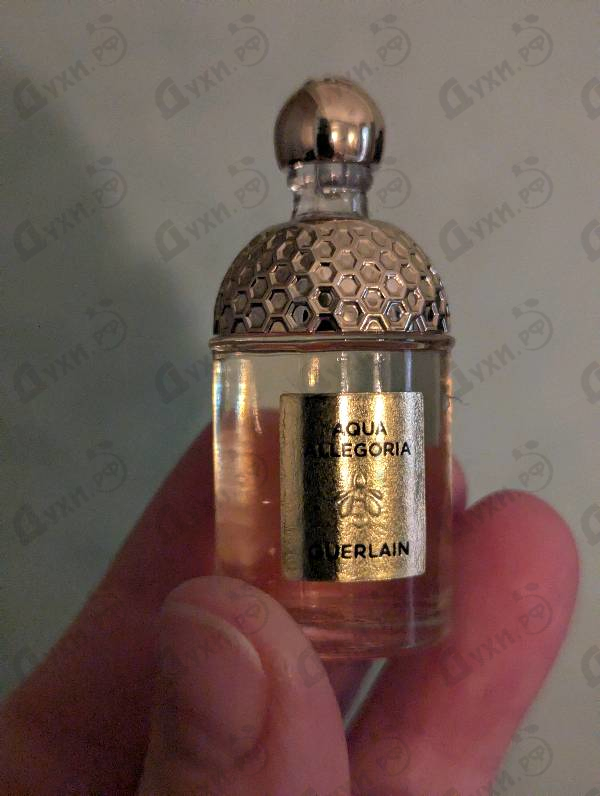 Купить Aqua Allegoria Forte Mandarine Basilic от Guerlain
