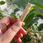 Парфюм Guerlain Aqua Allegoria Forte Mandarine Basilic