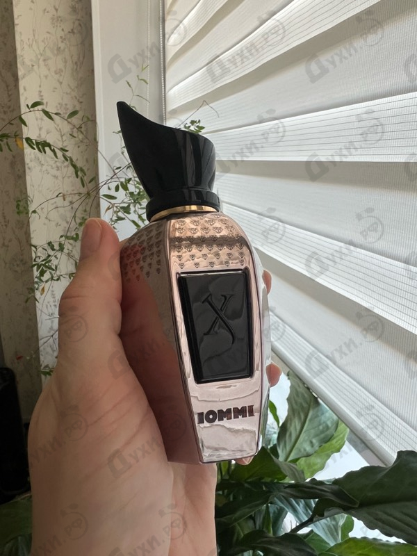 Купить Tony Iommi Monkey Special от Xerjoff