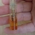 Духи Nirvanesque от Haute Fragrance Company