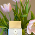 Духи Bianco Latte от Giardini Di Toscana