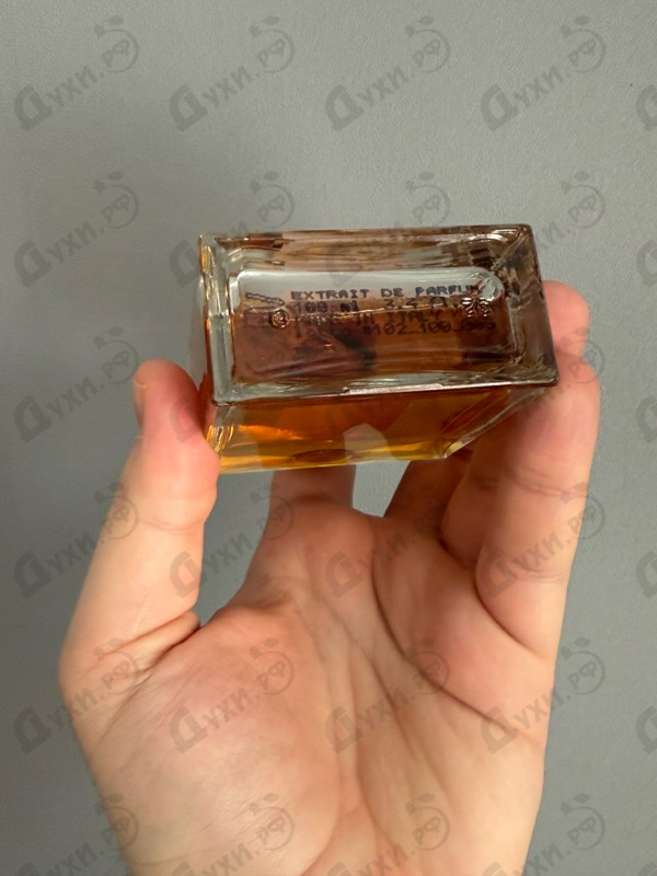 Духи The Black Knight от Francesca Bianchi