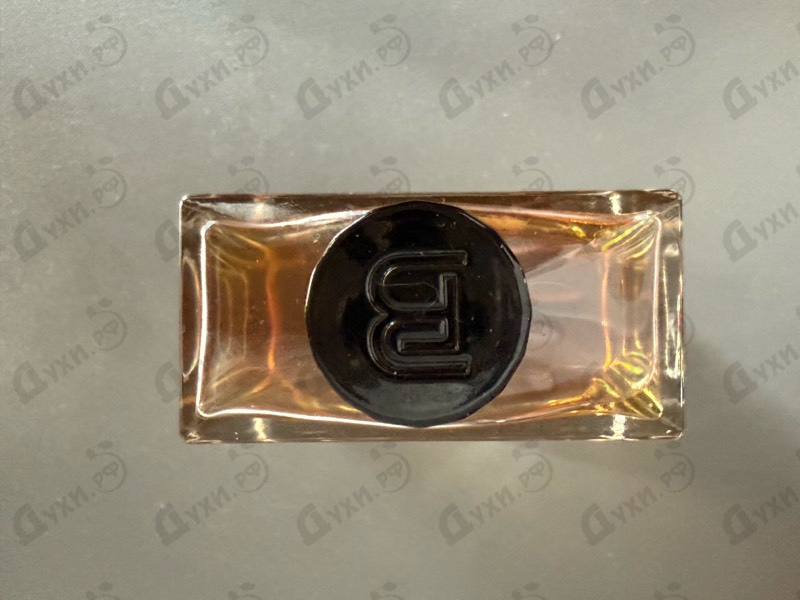 Купить The Black Knight от Francesca Bianchi