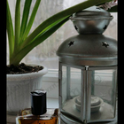 Отзывы Francesca Bianchi Under My Skin