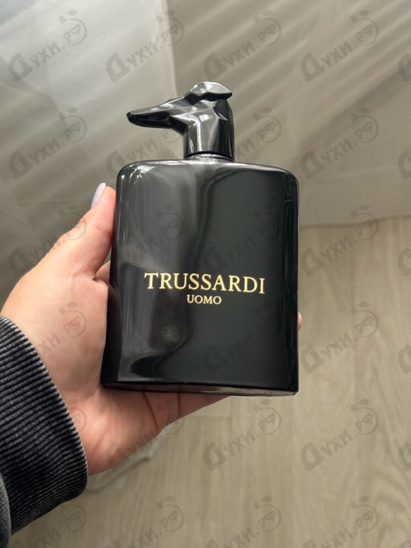 Купить Trussardi Uomo Levriero Limited Edition